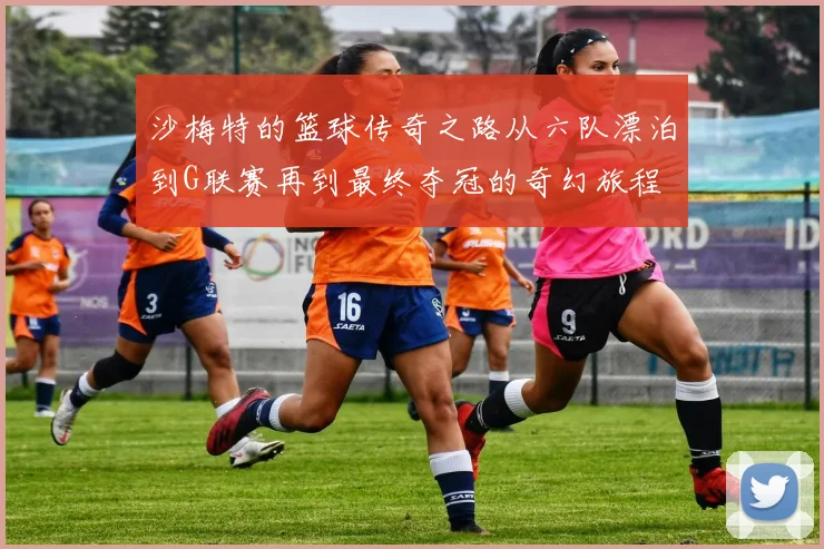 沙梅特的篮球传奇之路从六队漂泊到G联赛再到最终夺冠的奇幻旅程